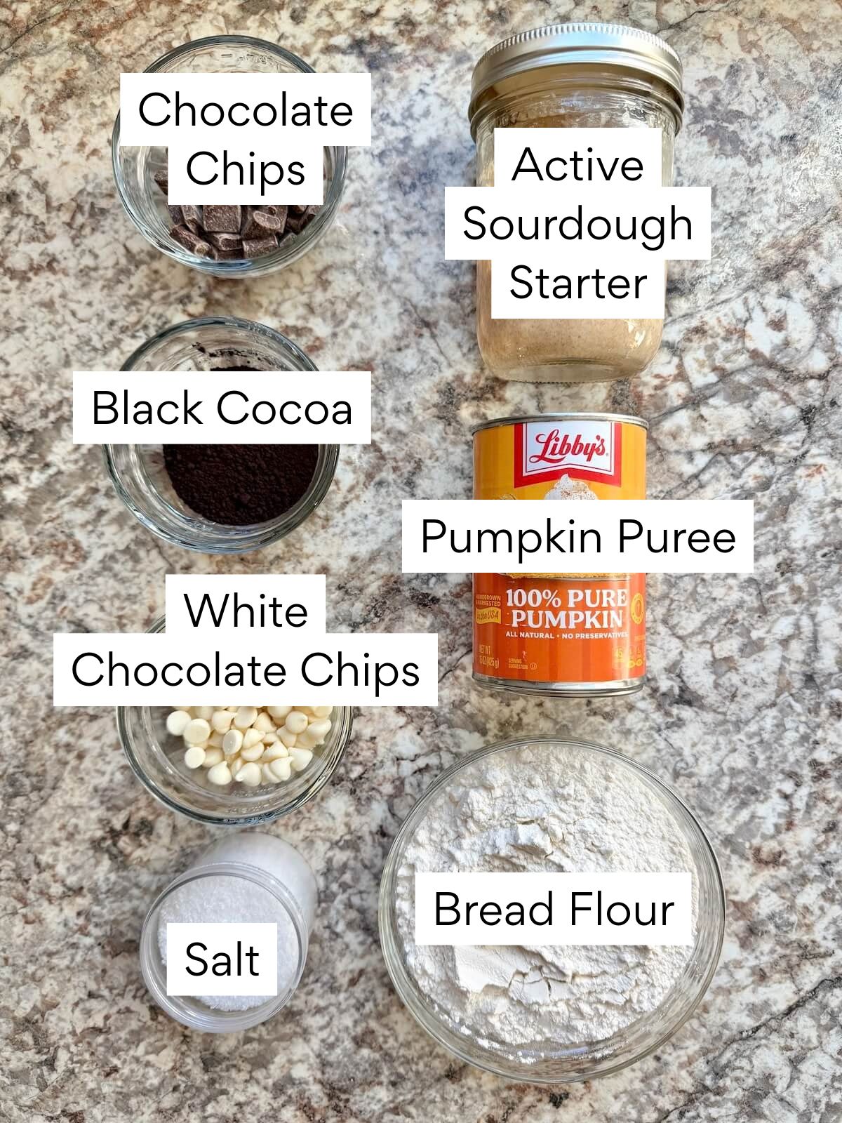 The ingredients to make Halloween sourdough bread. Each ingredient is labeled with text. They include chocolate chips, active sourdough starter, black cocoa, pumpkin puree, white chocolate chips, salt, and bread flour.