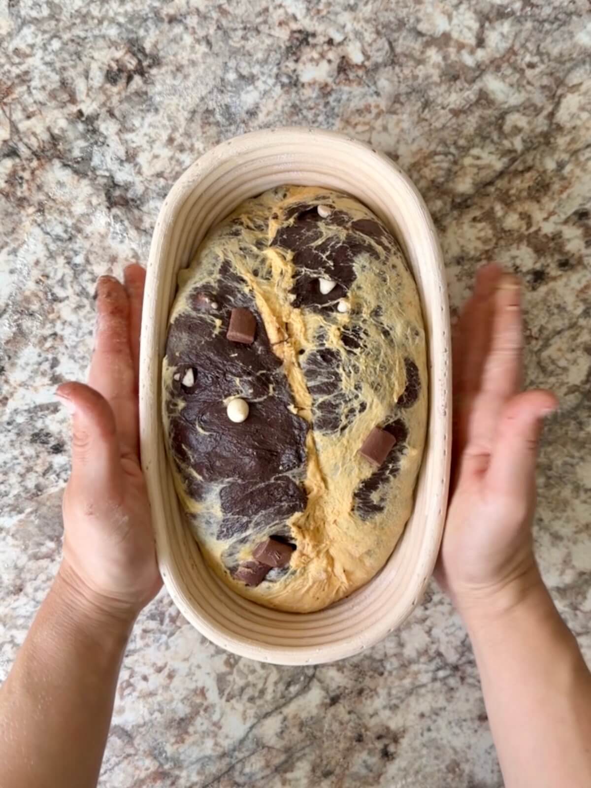 Black cocoa and pumpkin sourdough bread dough in an oval proofing basket before cold proofing overnight.