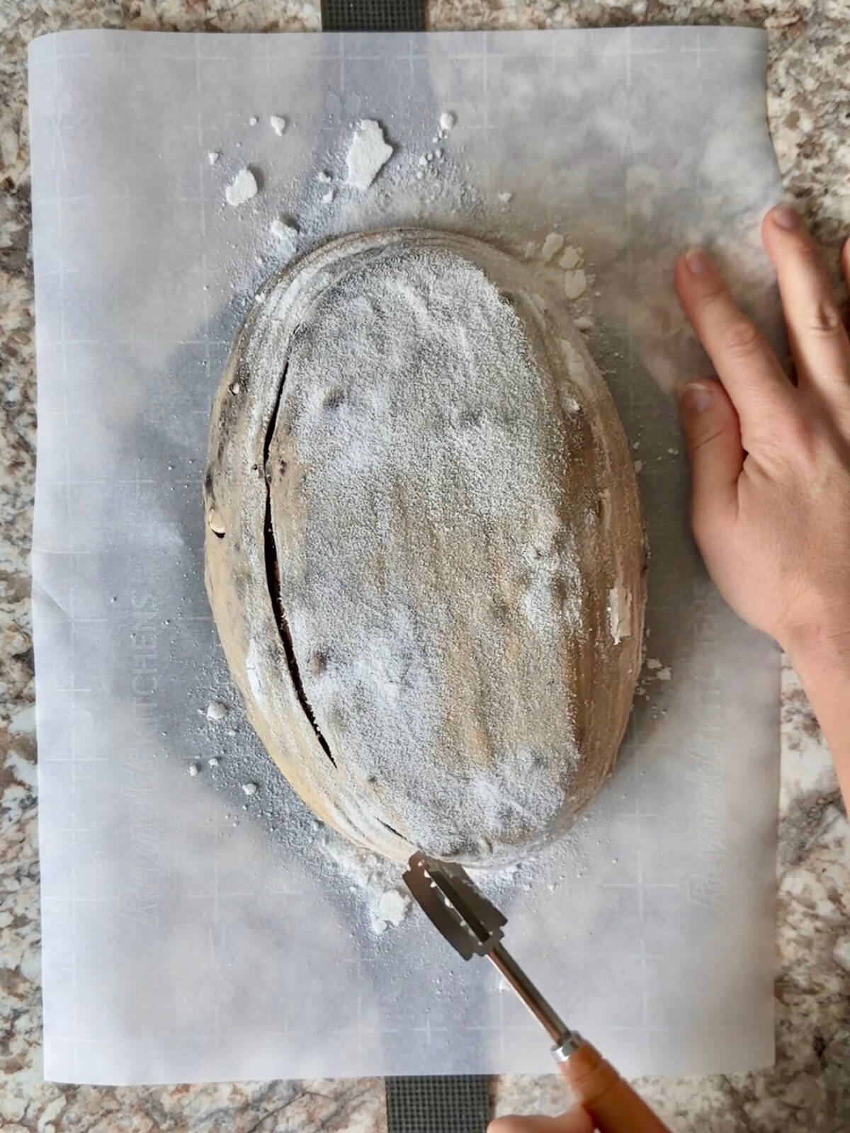 Halloween sourdough bread dough being scored with a lame before baking.