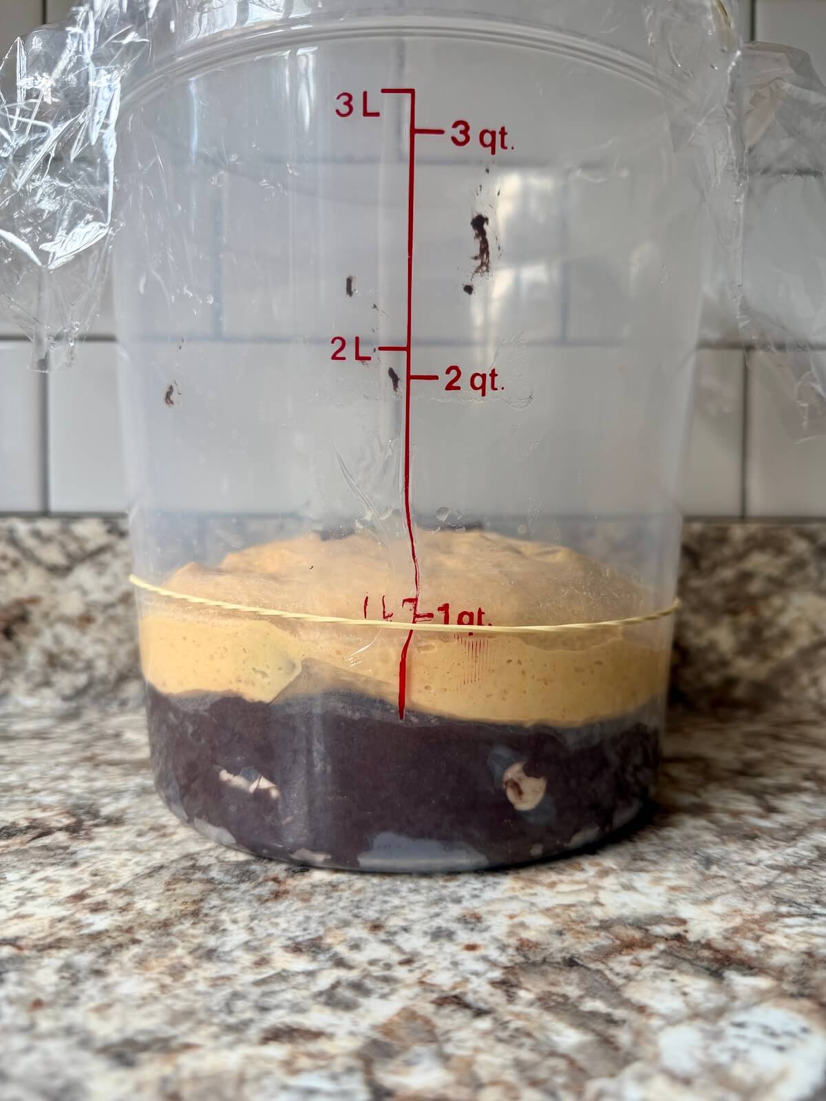 The pumpkin and black cocoa sourdough bread doughs stacked on top of each other in a straight-sided container before bulk fermentation.