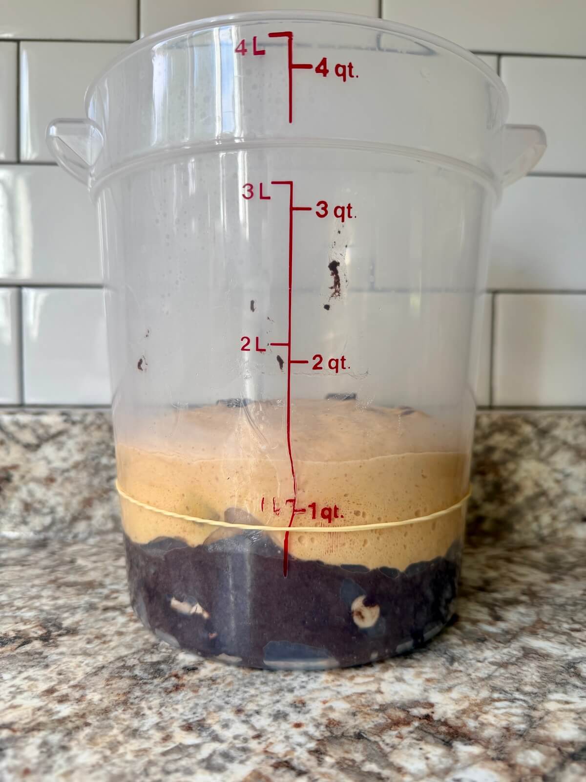 The pumpkin and black cocoa sourdough bread doughs stacked on top of each other in a straight-sided container after bulk fermentation.