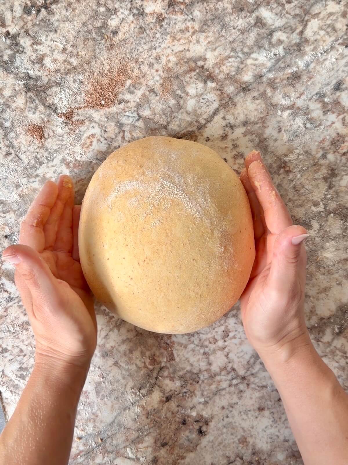 Pumpkin spice sourdough bread dough being shaped on a floured counter.