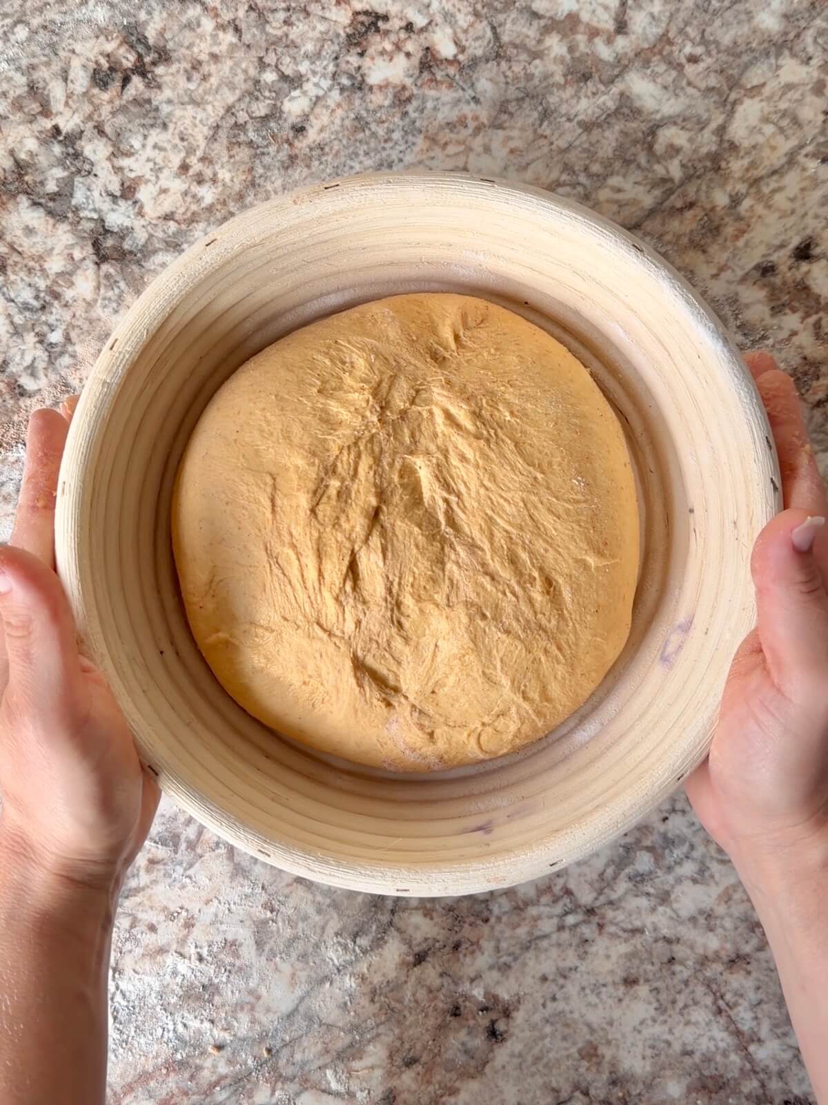 Pumpkin spice sourdough bread dough in a round proofing basket before proofing.