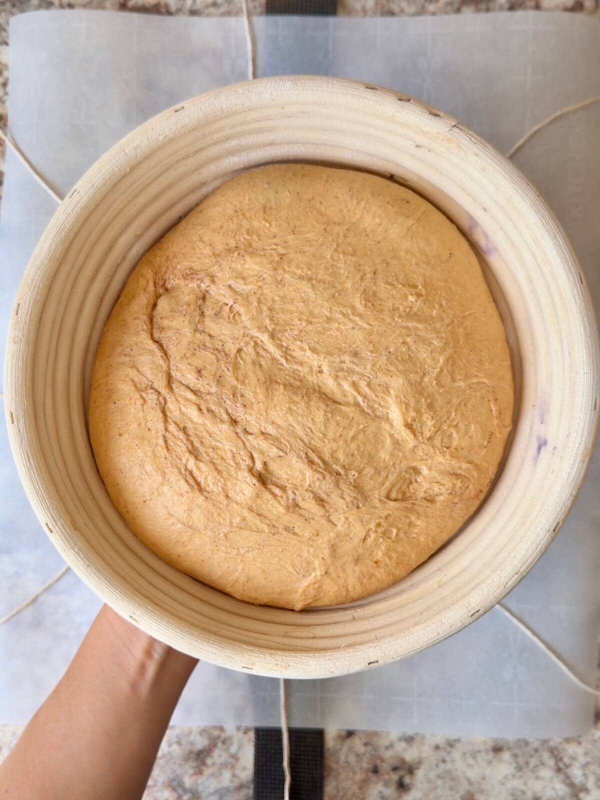 Pumpkin spice sourdough bread dough in a round proofing basket after proofing.