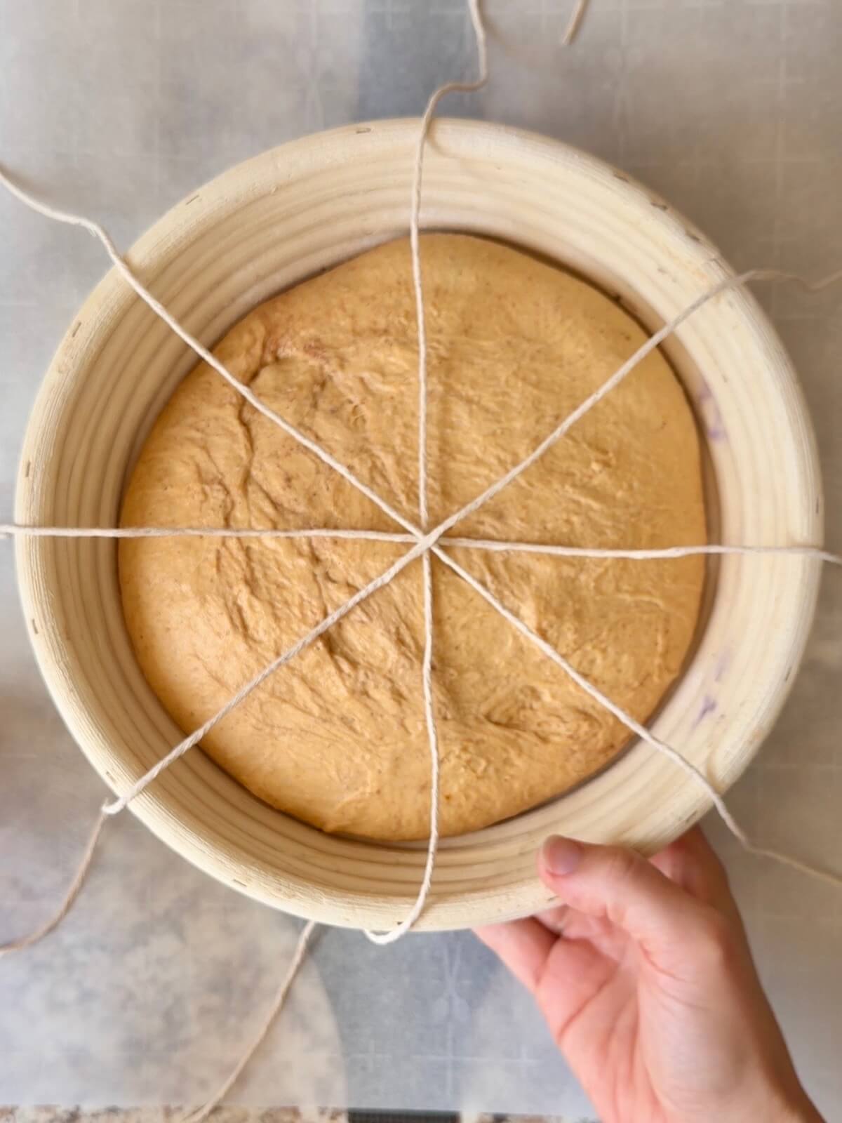 Four pieces of butcher's twine lying across the top of the proofing basket with the pumpkin sourdough bread dough inside.
