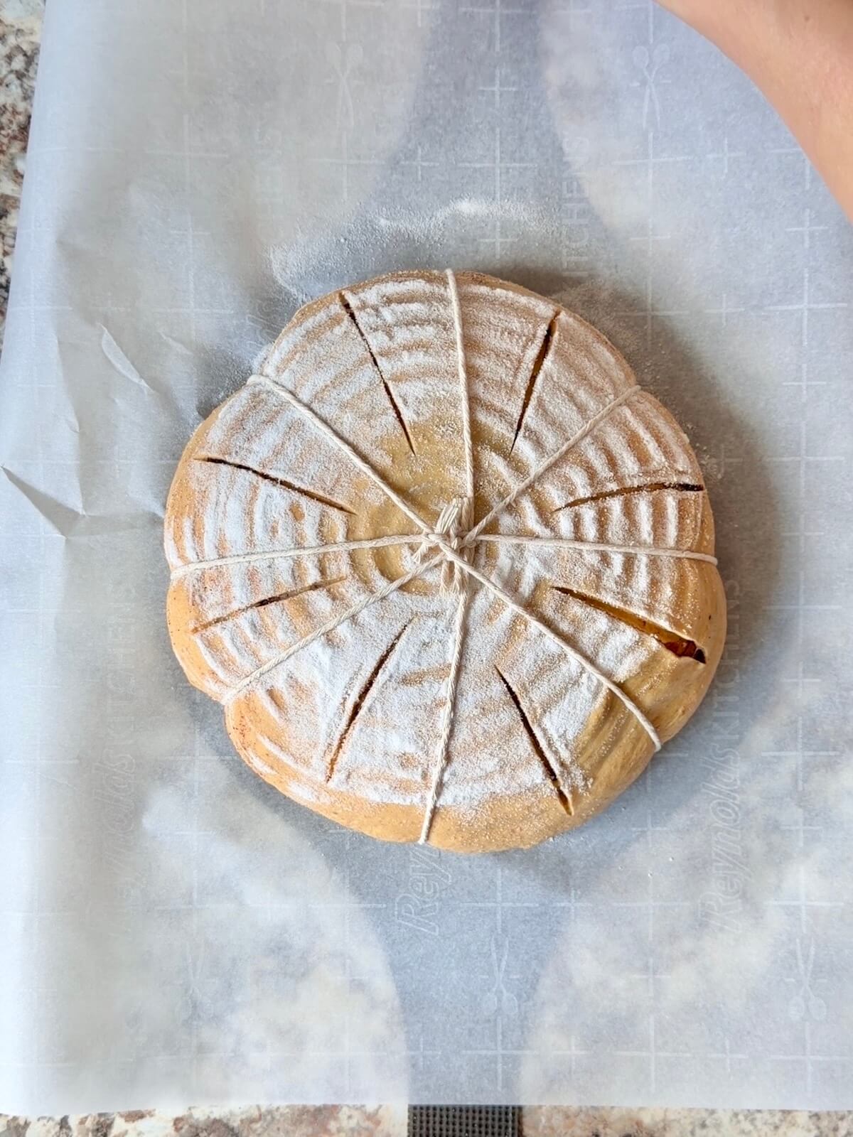 Four pieces of string tied around the pumpkin spice sourdough bread dough with a score mark running vertically down each section.