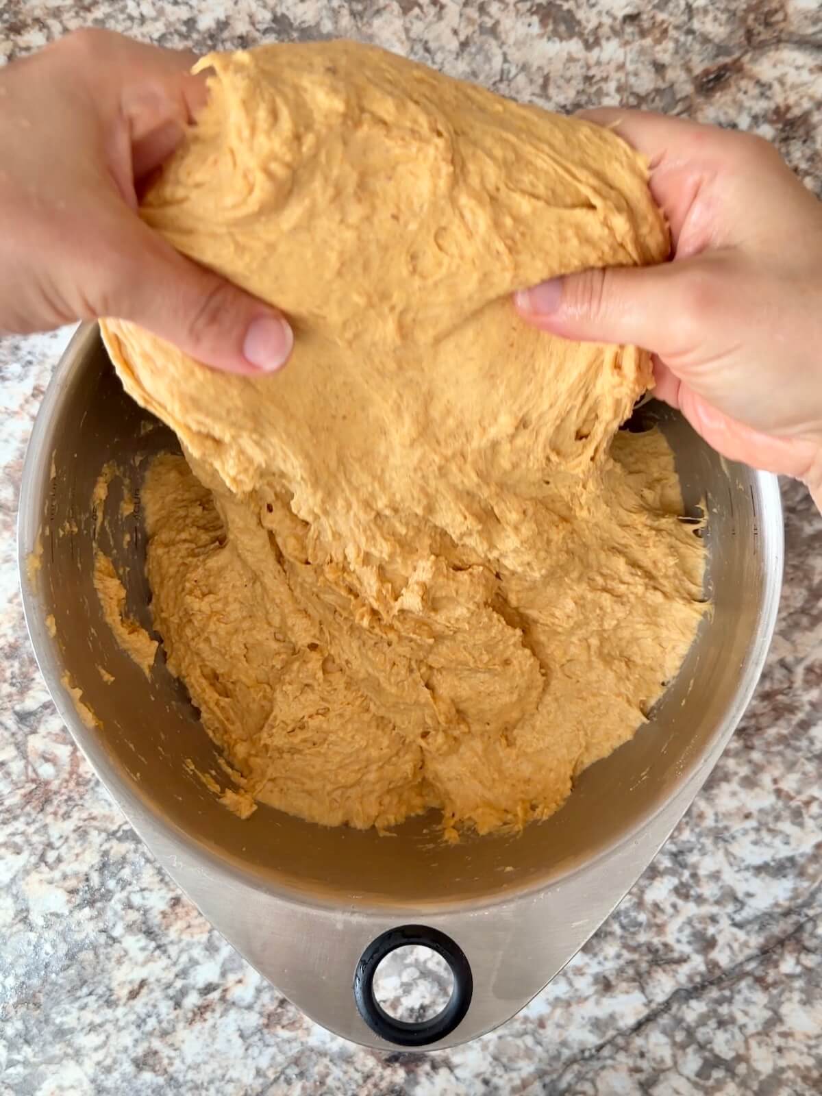 Pumpkin sourdough bread dough being stretched and folded in a large bowl.
