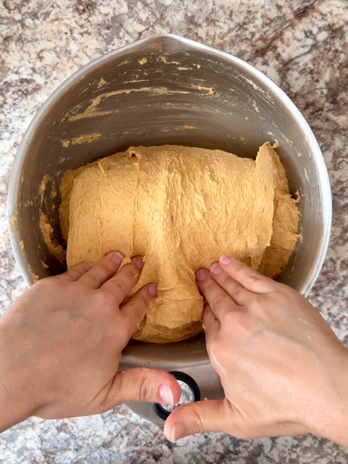 Pumpkin sourdough bread dough being stretched and folded in a large bowl.