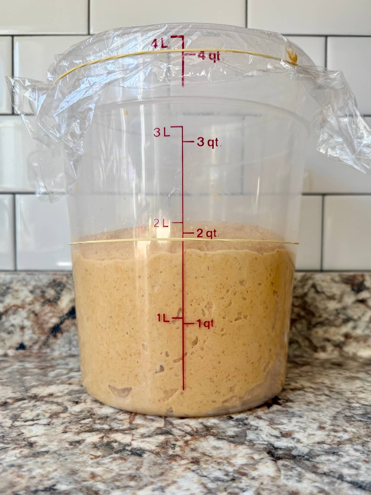 Pumpkin sourdough bread dough in a straight-sided container before bulk fermentation.