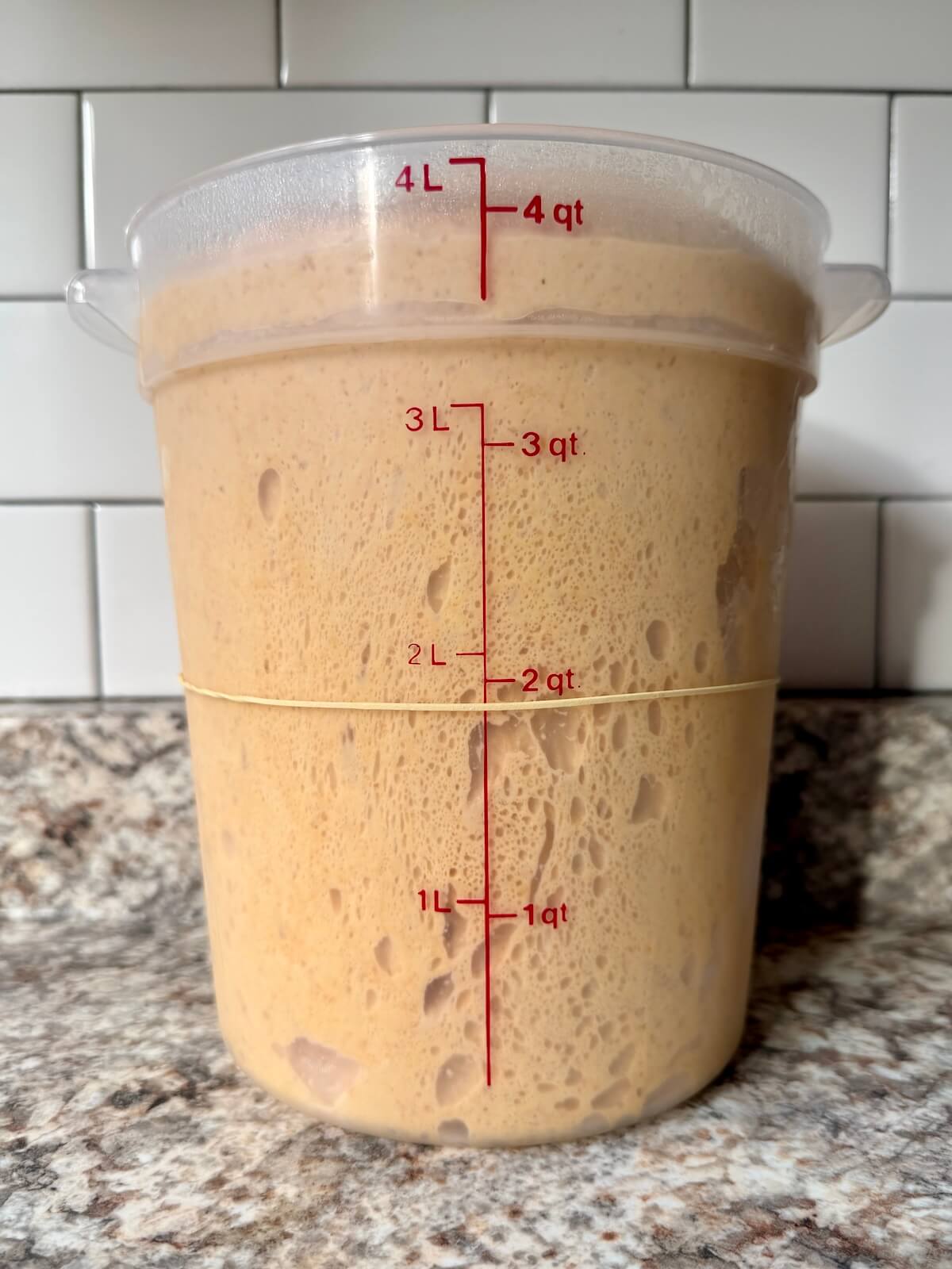 Pumpkin sourdough bread dough in a straight-sided container after bulk fermentation.