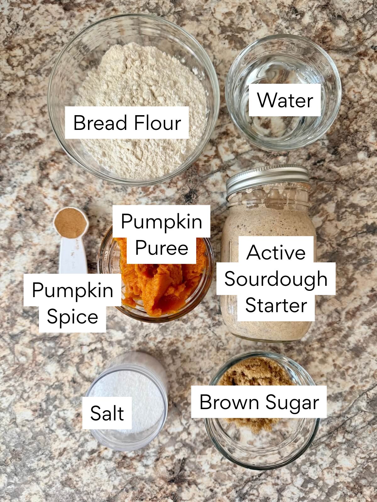 The ingredients to make pumpkin spice sourdough bread. Each ingredient is labeled with text. They include bread flour, water, pumpkin spice, pumpkin puree, active sourdough starter, salt, and brown sugar.