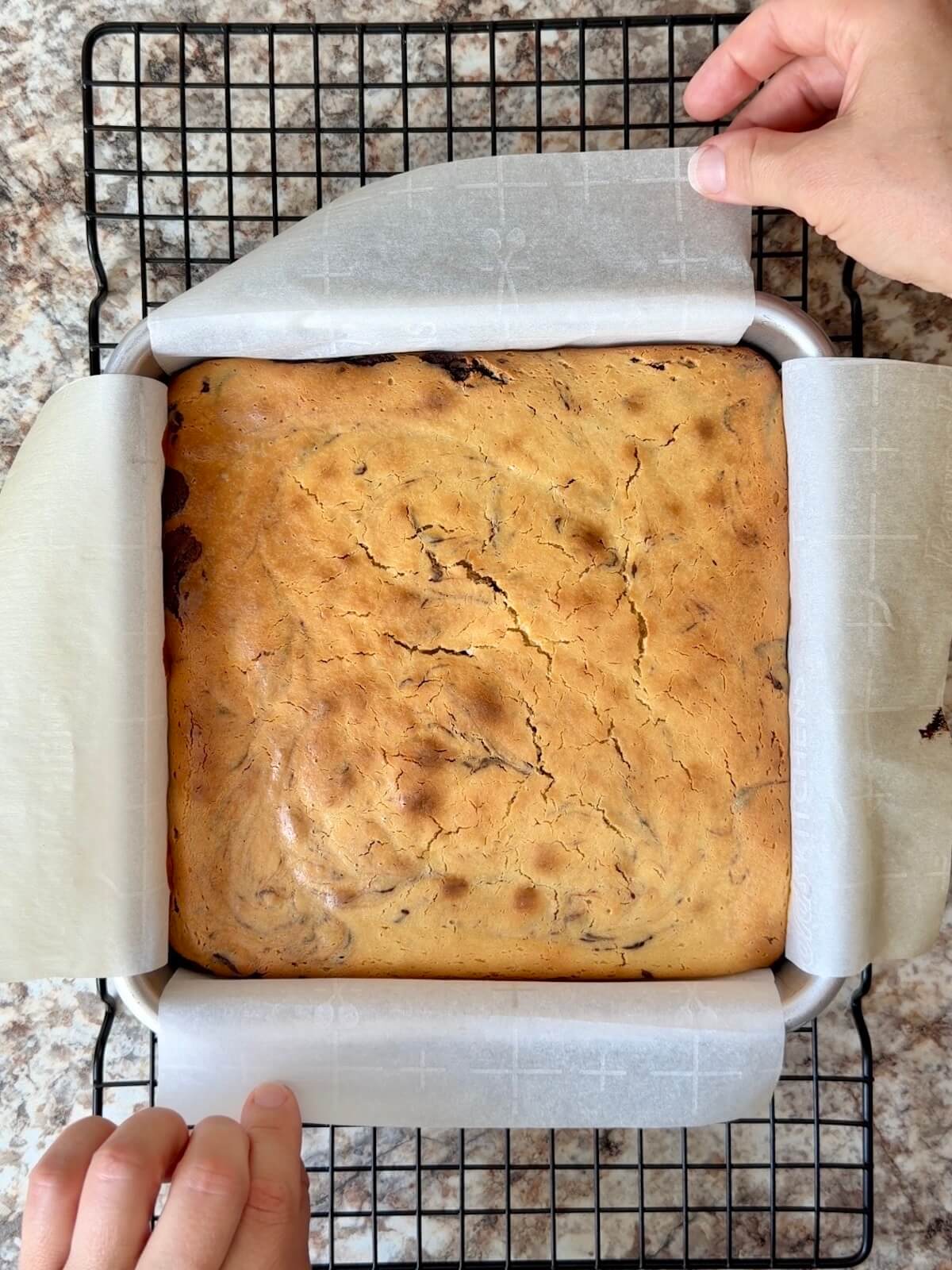 Baked sourdough cheesecake brownies in a baking pan on a wire cooling rack.
