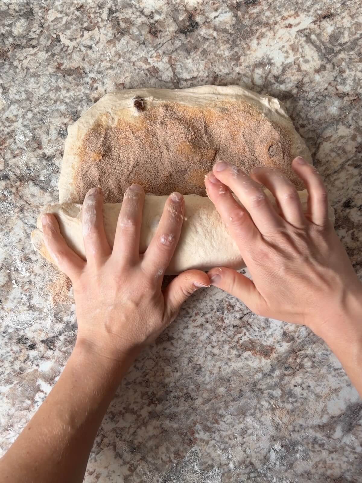 Cinnamon raisin sourdough bread dough being rolled up on a counter.