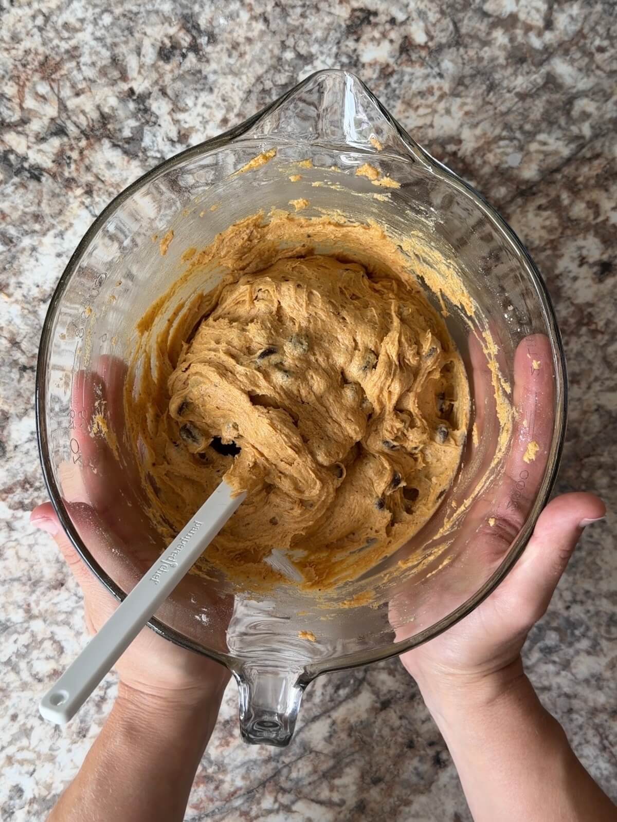 Sourdough pumpkin chocolate chip cookie dough folded together in a glass bowl.