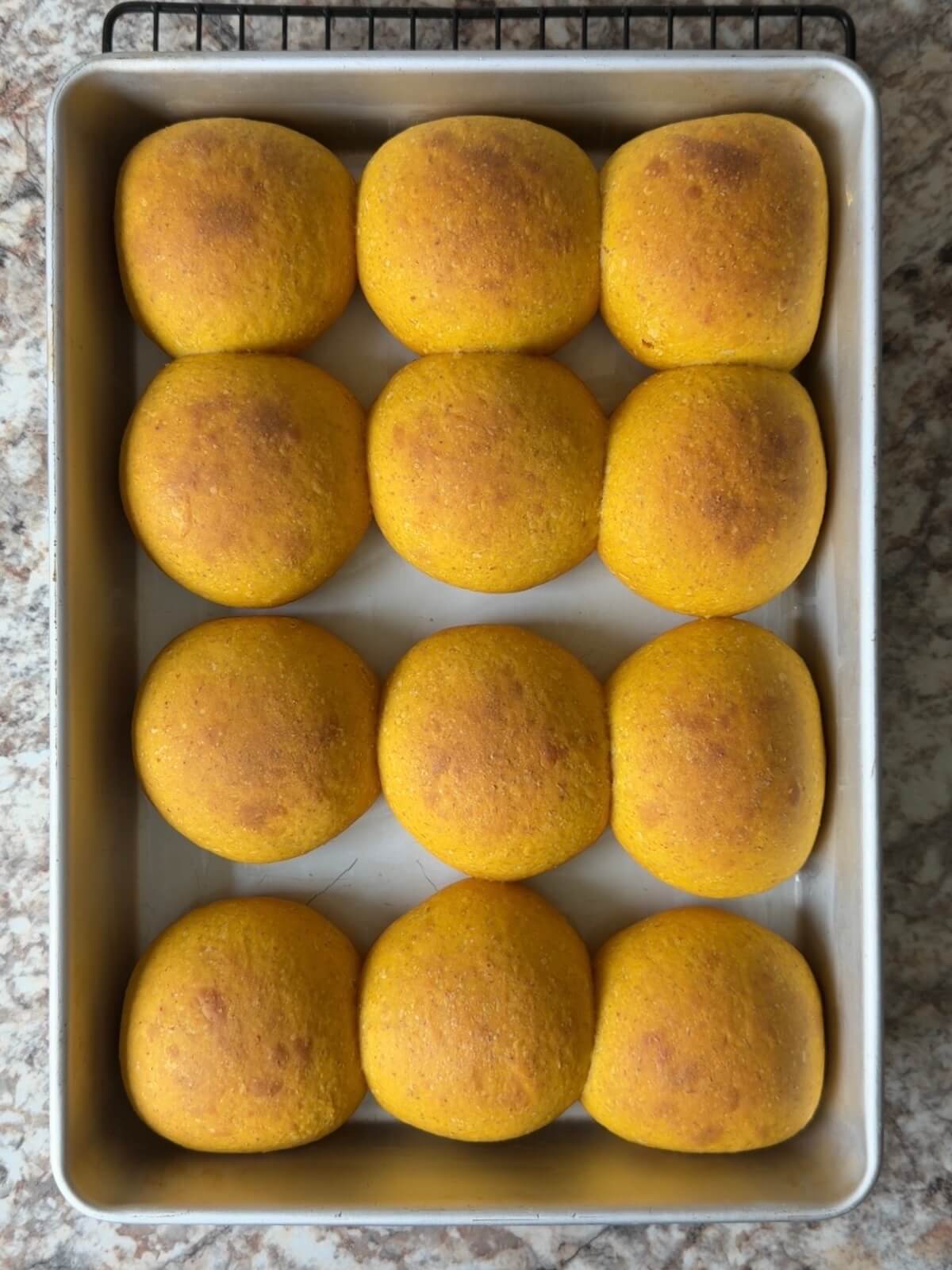 Twelve baked sourdough pumpkin dinner rolls in a baking pan.