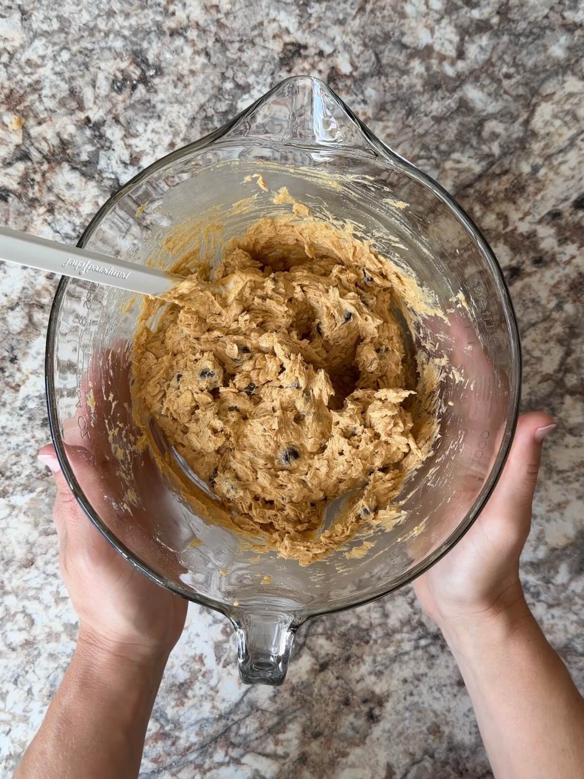Sourdough pumpkin oatmeal cookie batter with chocolate chips folded in.
