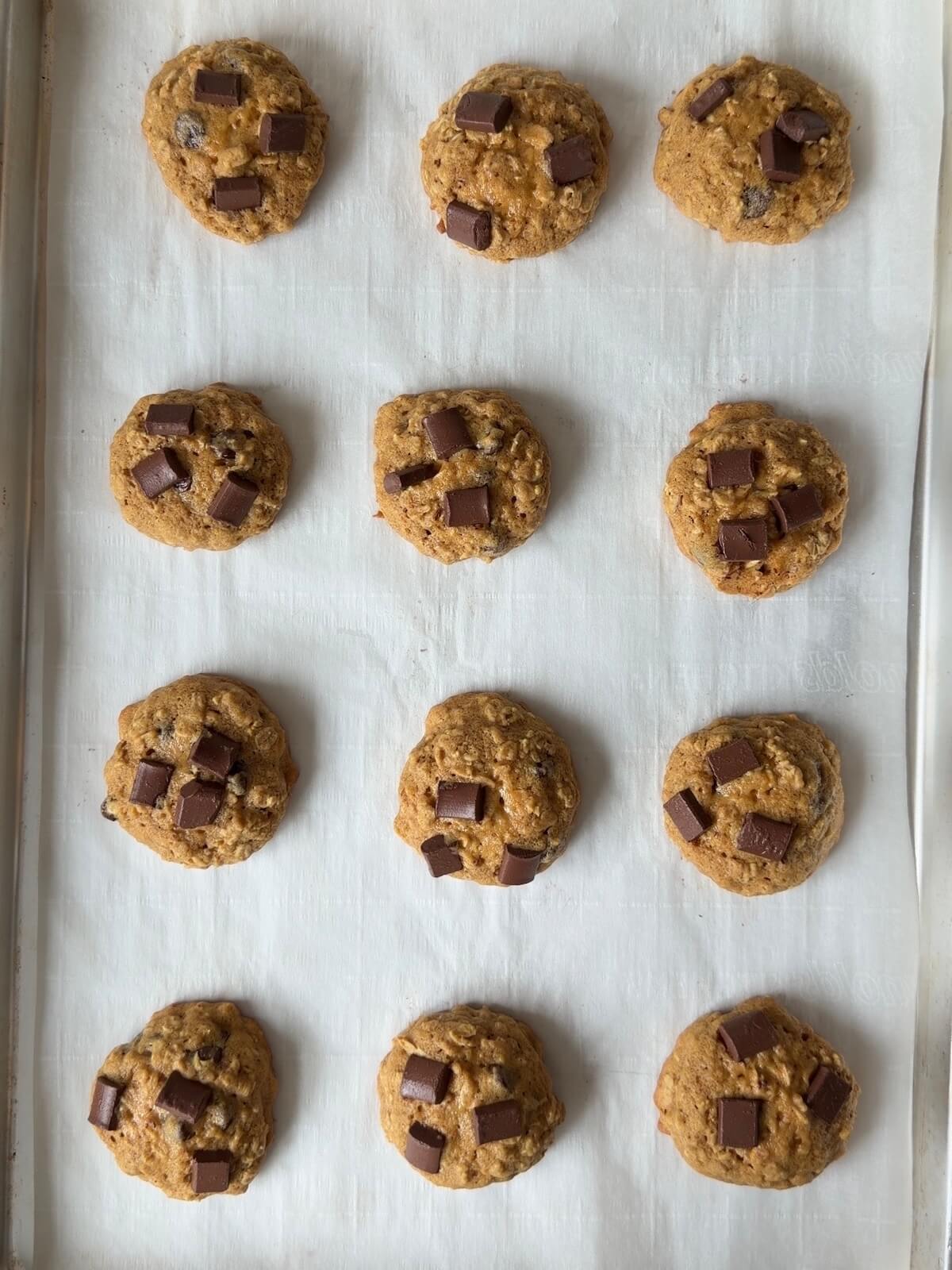 A dozen baked sourdough pumpkin oatmeal cookies with chocolate chips on a parchment-lined baking sheet.