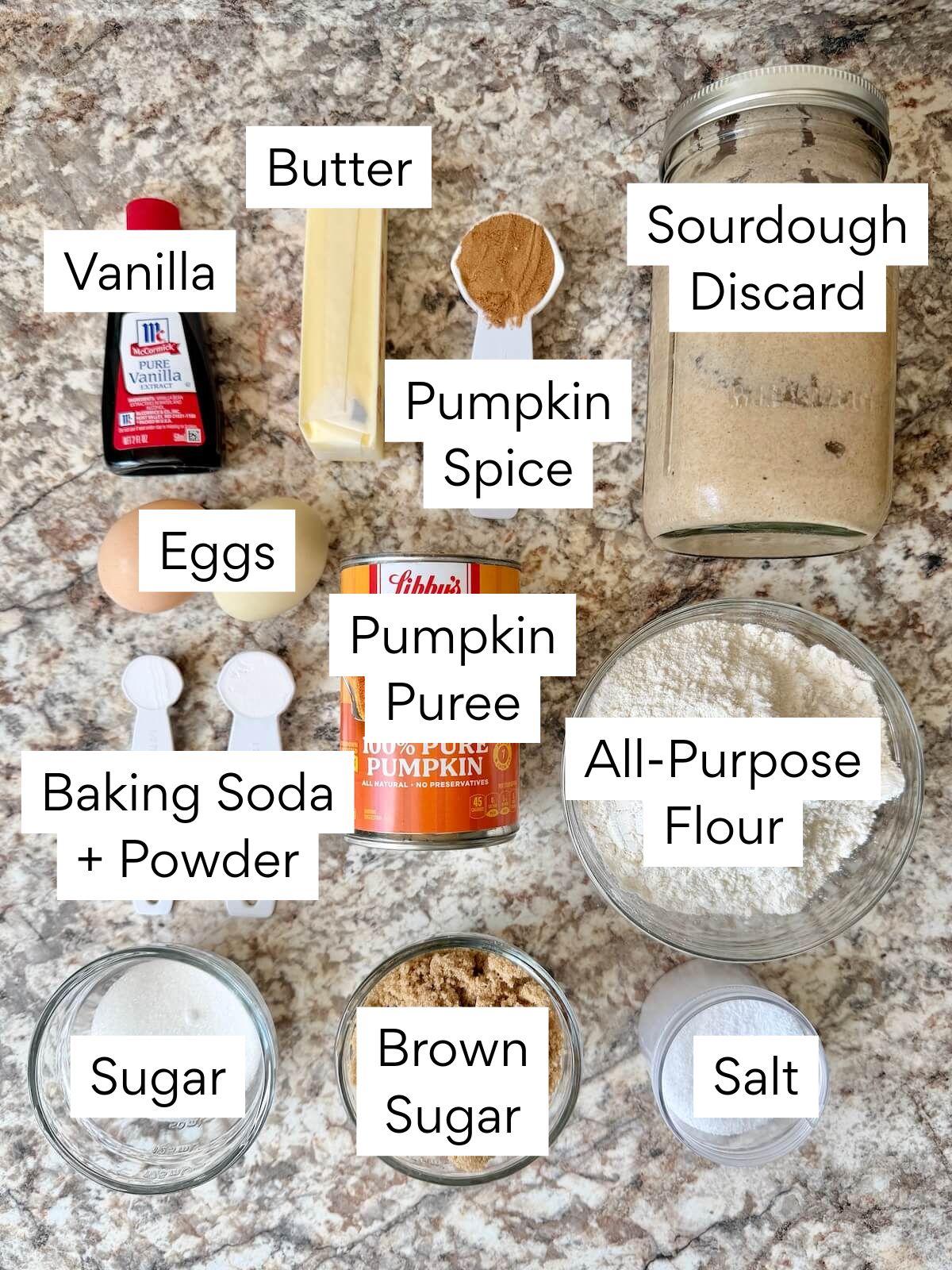 The ingredients to make sourdough discard pumpkin muffins. Each ingredient is labeled with text. They include vanilla, butter, pumpkin spice, sourdough discard, eggs, pumpkin puree, all-purpose flour, baking soda and powder, sugar, brown sugar, and salt.