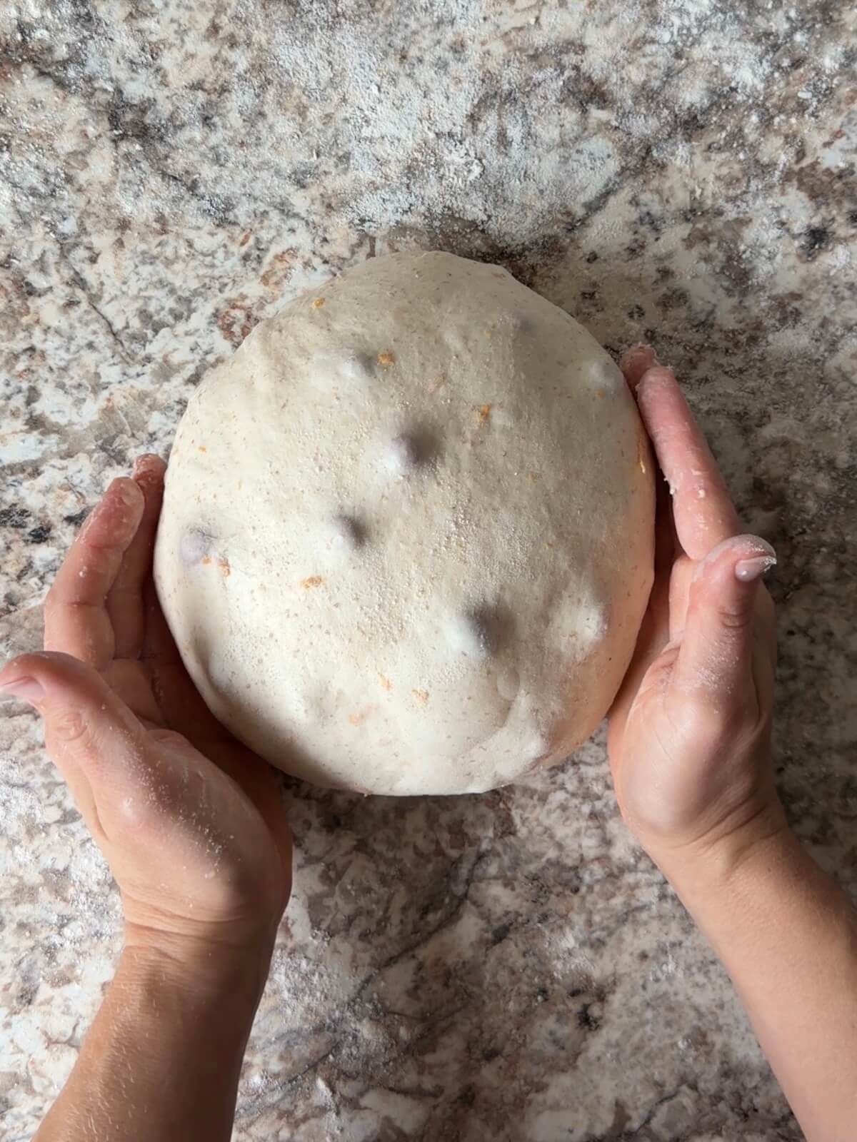 Cranberry orange sourdough bread dough shaped into a ball on a floured counter.