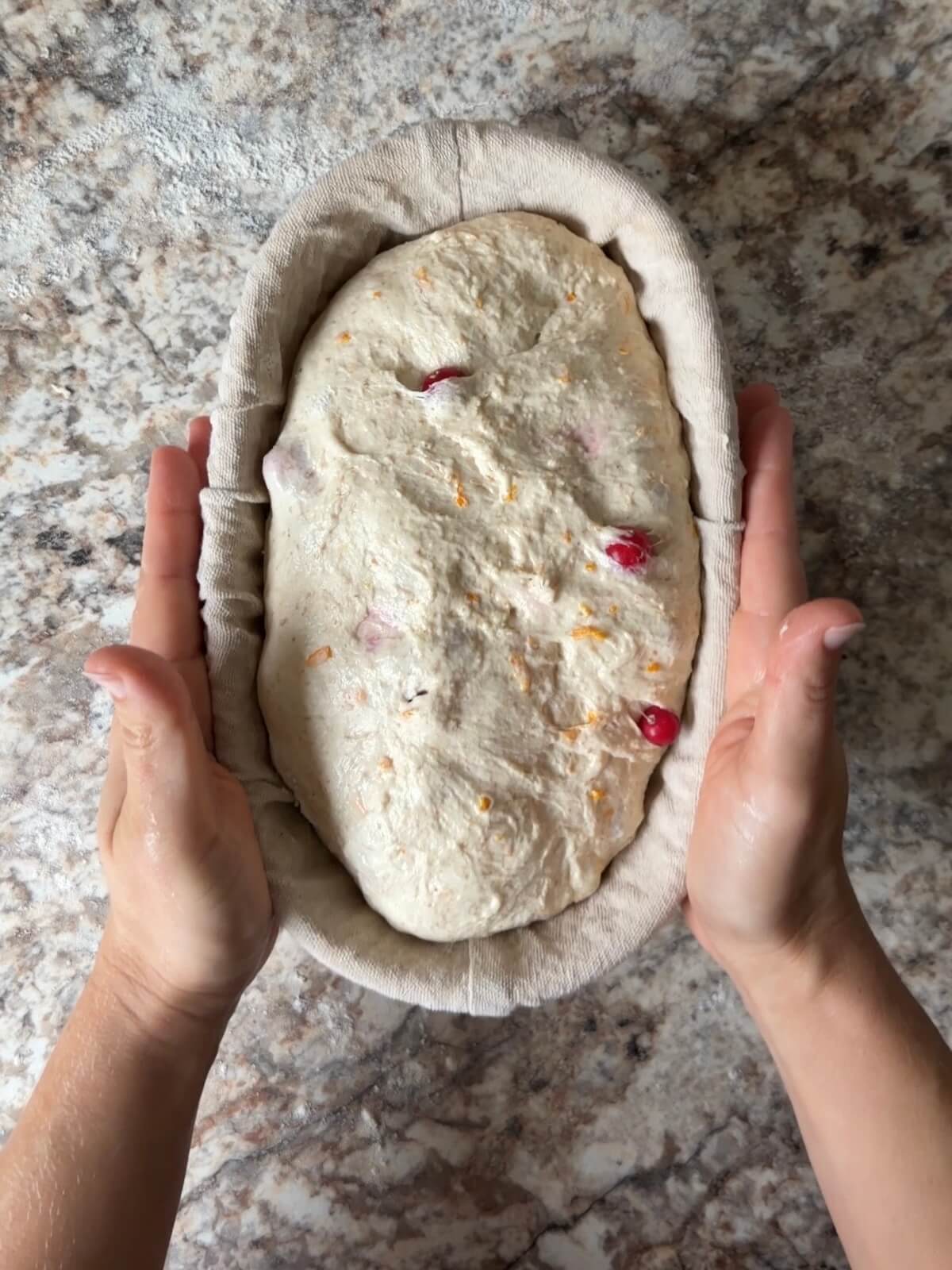 Cranberry orange sourdough bread dough in an oval proofing basket before cold proofing overnight.