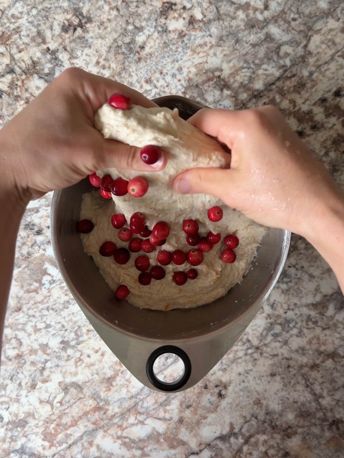 Fresh cranberries being folded into the orange-flavored sourdough bread dough.