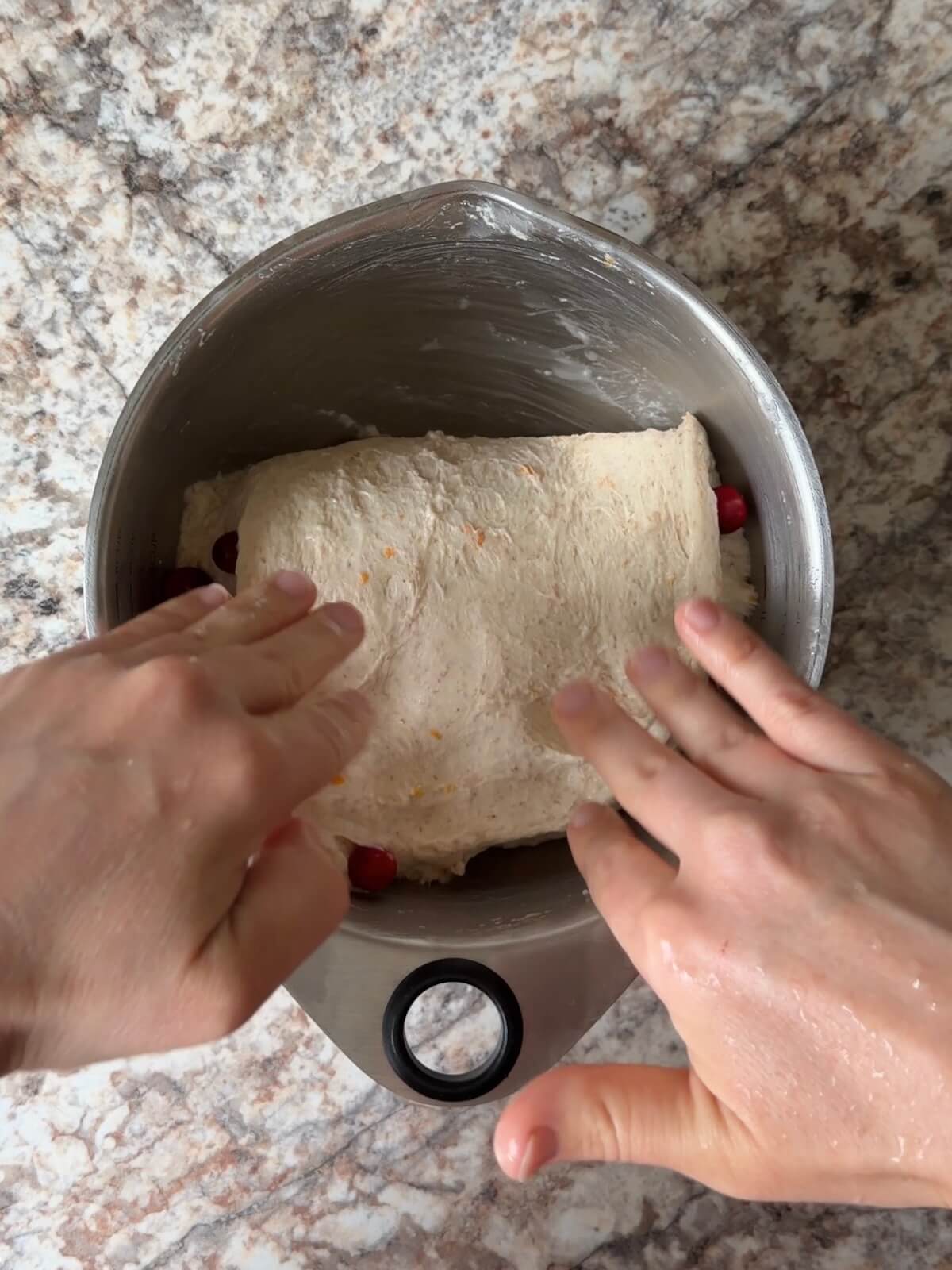 Fresh cranberries being folded into the orange-flavored sourdough bread dough.