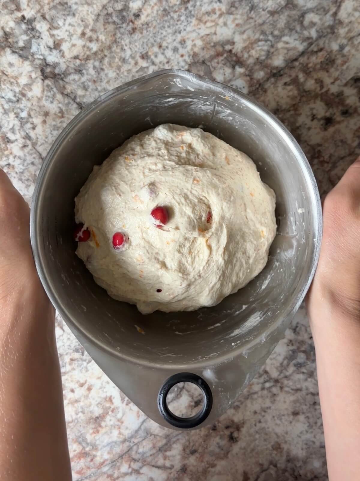 Cranberry orange sourdough bread dough in a mixing bowl after the first set of stretch and folds.