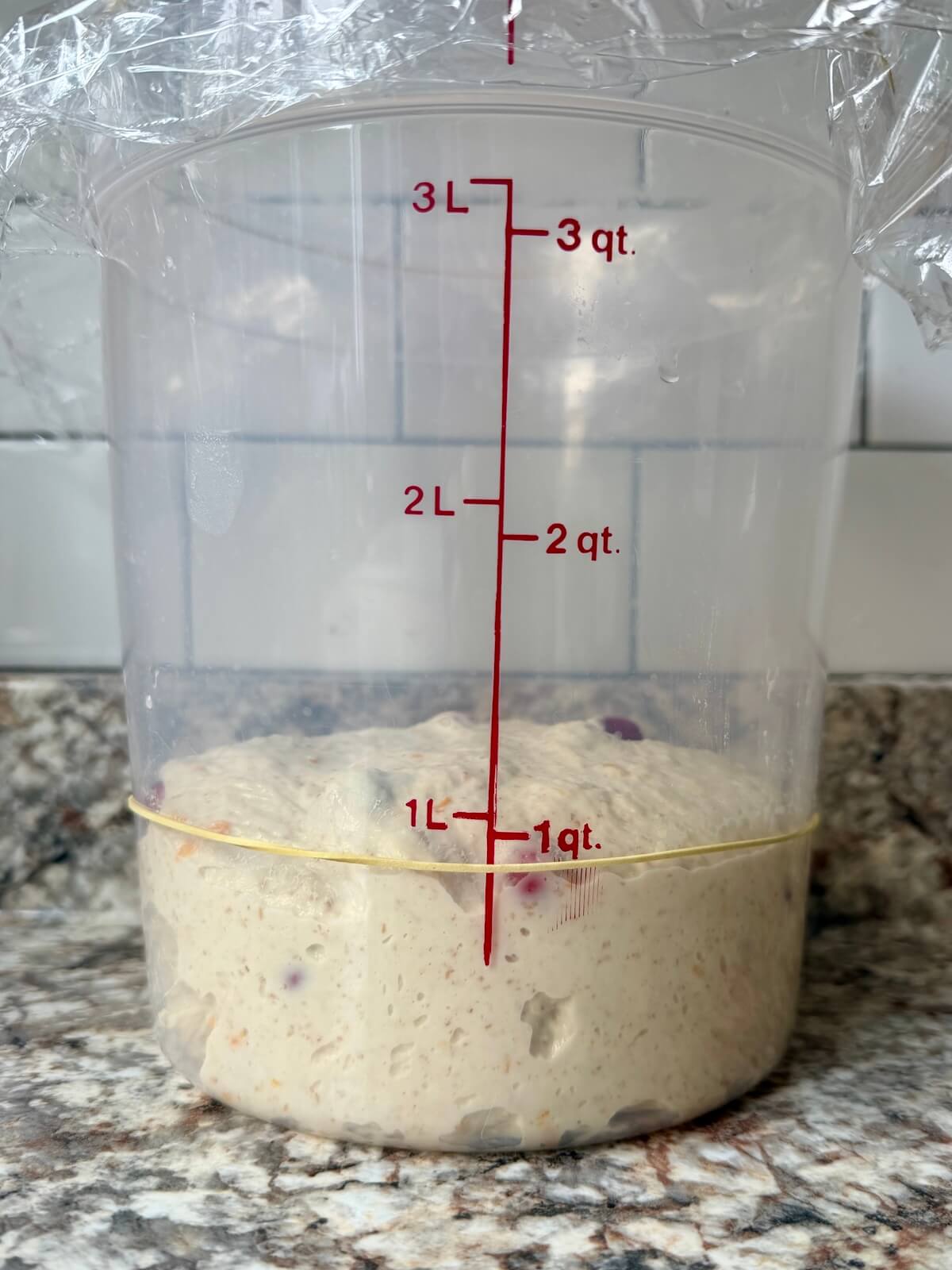 Cranberry orange sourdough bread dough in a straight-sided container before bulk fermenting.