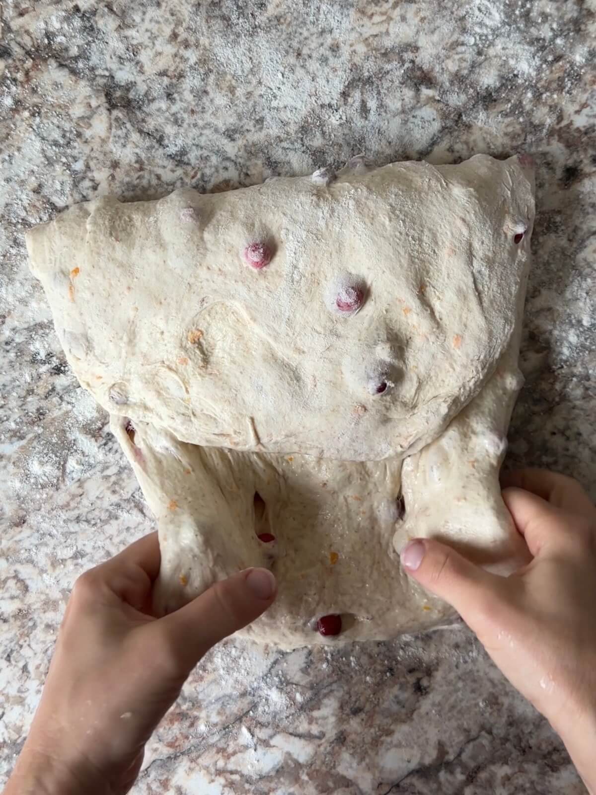 Cranberry orange sourdough bread dough being shaped on a floured counter.