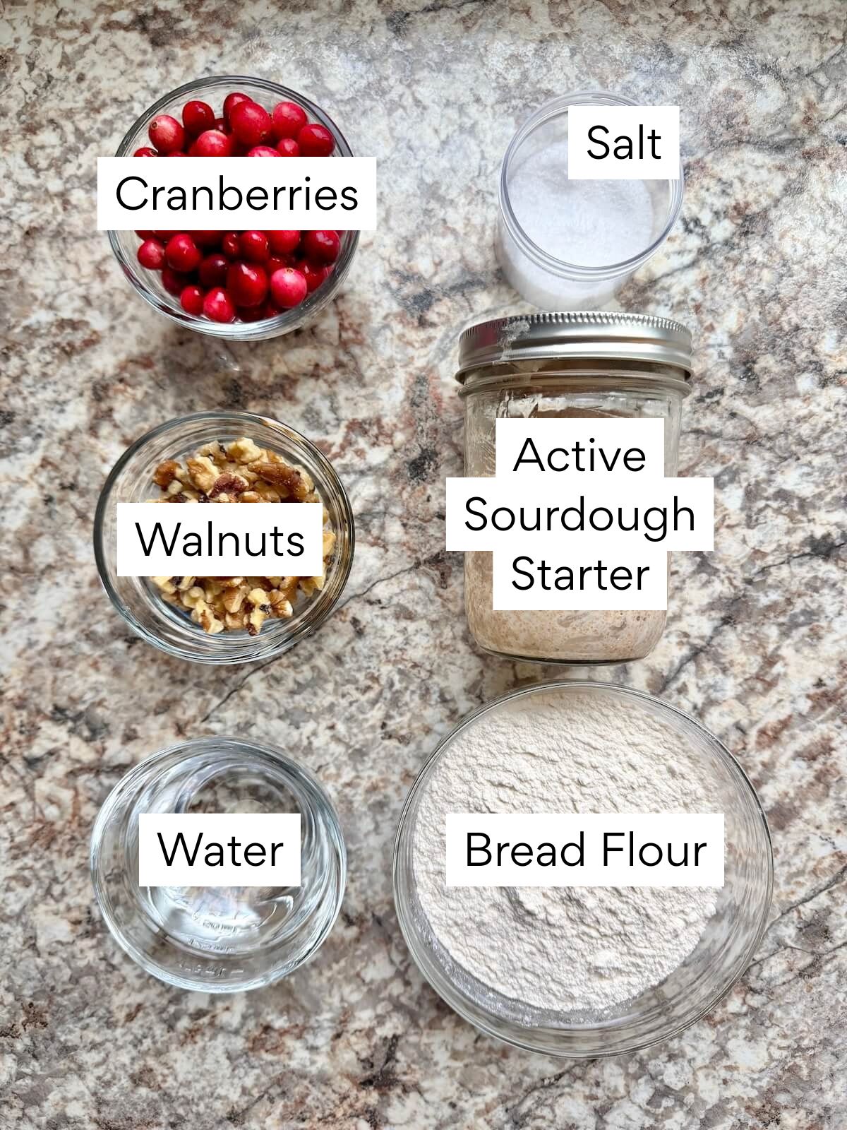 The ingredients to make cranberry walnut sourdough bread. Each ingredient is labeled with text. They include cranberries, walnuts, water, salt, active sourdough starter, and bread flour.