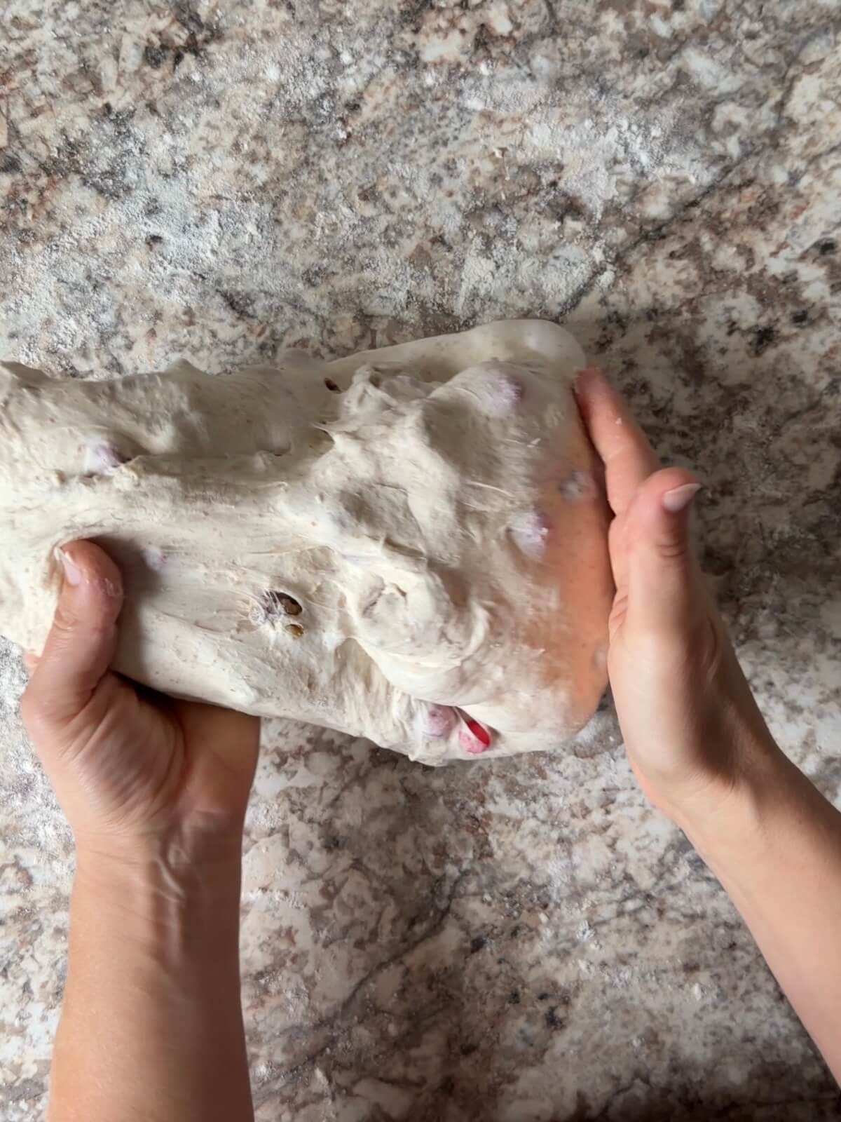 Cranberry walnut sourdough bread dough being shaped on a floured counter.
