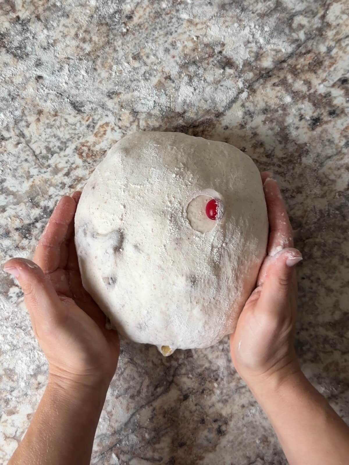 Cranberry walnut sourdough bread dough shaped into a round ball on a floured counter.