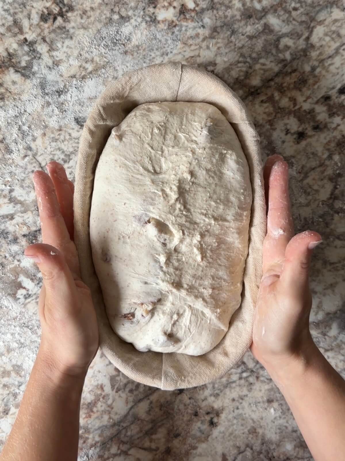 Cranberry walnut sourdough bread dough in an oval proofing basket before cold proofing overnight.