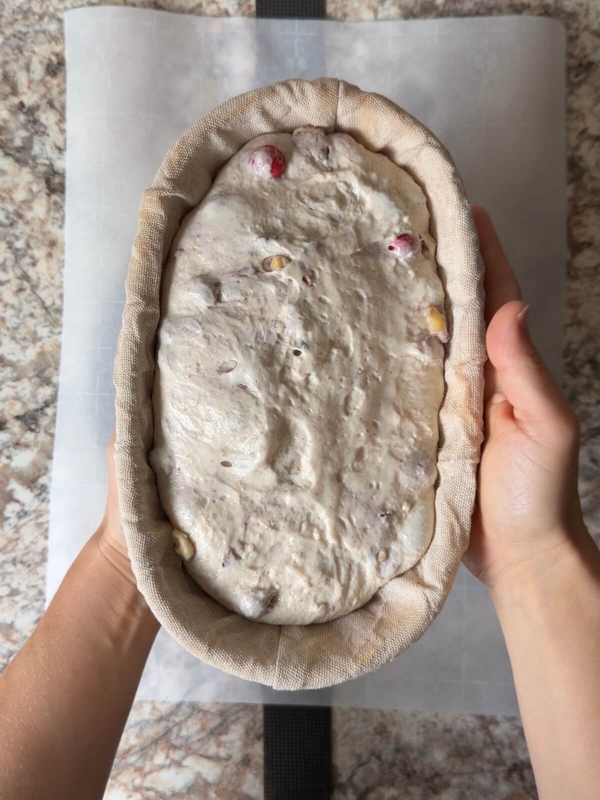Cranberry walnut sourdough bread dough in an oval proofing basket after cold proofing overnight.