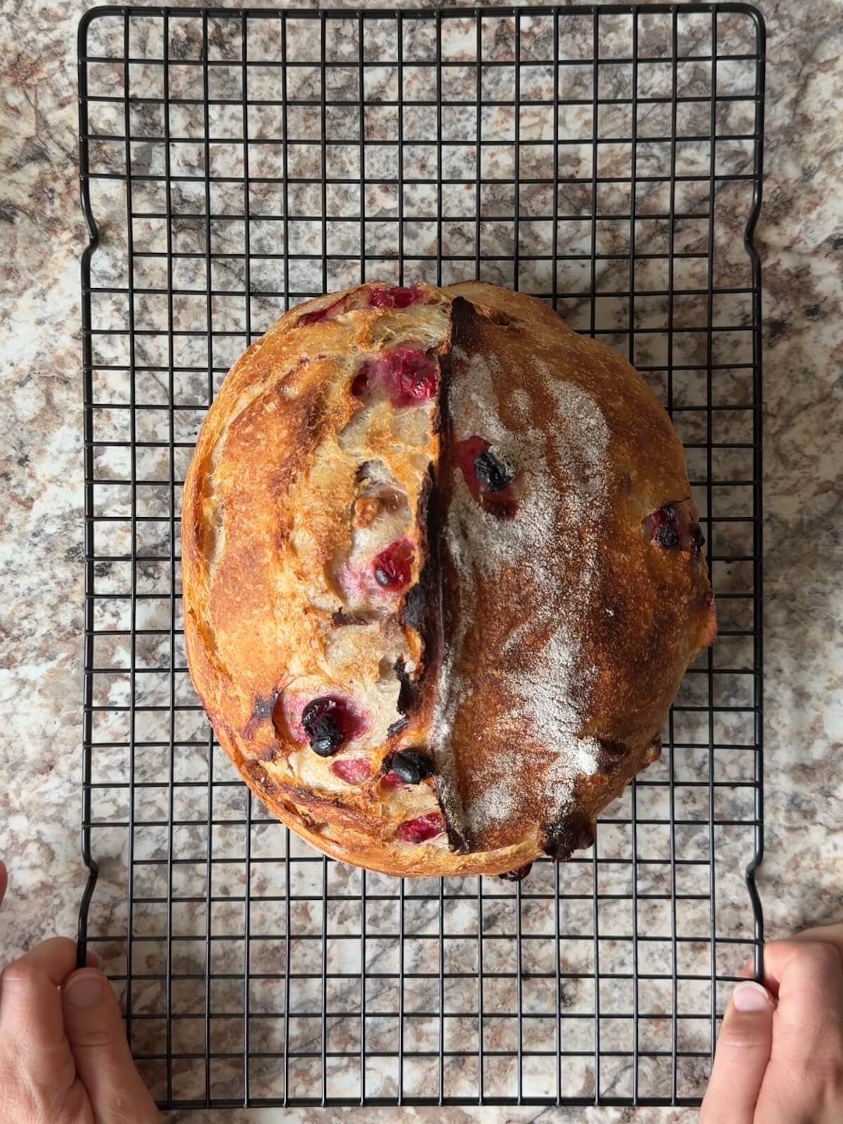 A baked loaf of cranberry walnut sourdough bread on a wire cooling rack.