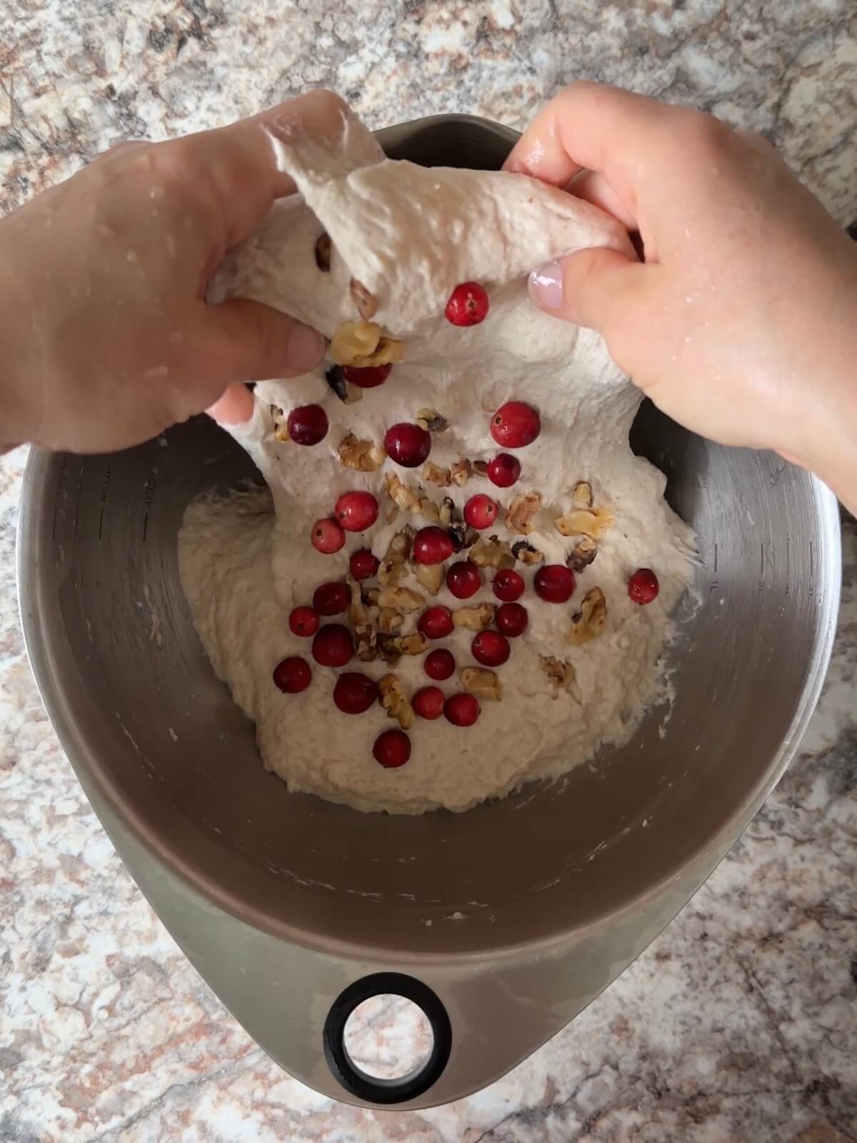 Fresh cranberries and toasted walnuts being stretched and folded into sourdough bread dough.