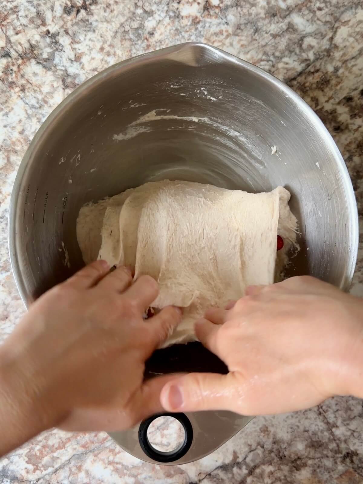 Fresh cranberries and toasted walnuts being stretched and folded into sourdough bread dough.