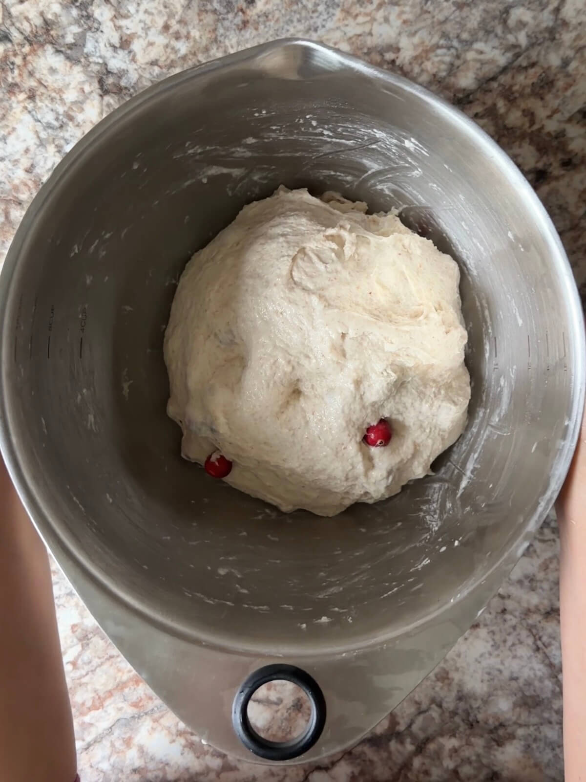 Cranberry walnut sourdough bread dough in a bowl after the first round of stretch and folds.
