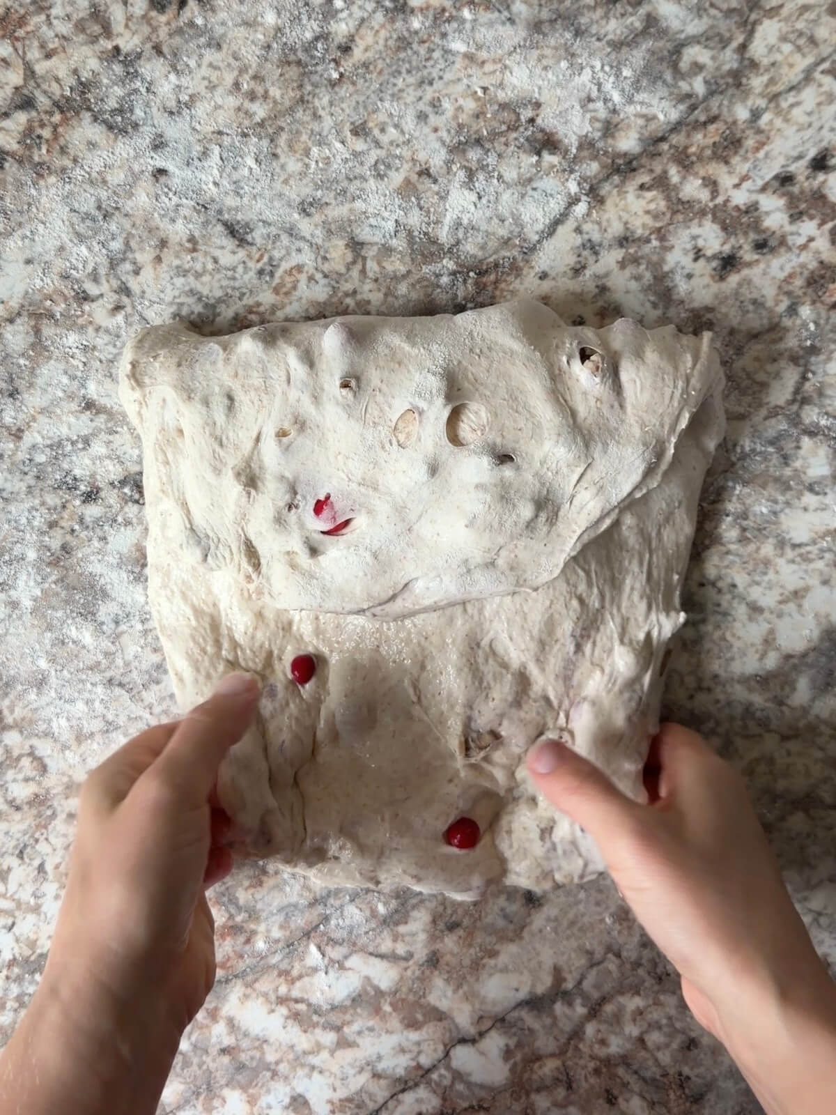 Cranberry walnut sourdough bread dough being shaped on a floured counter.