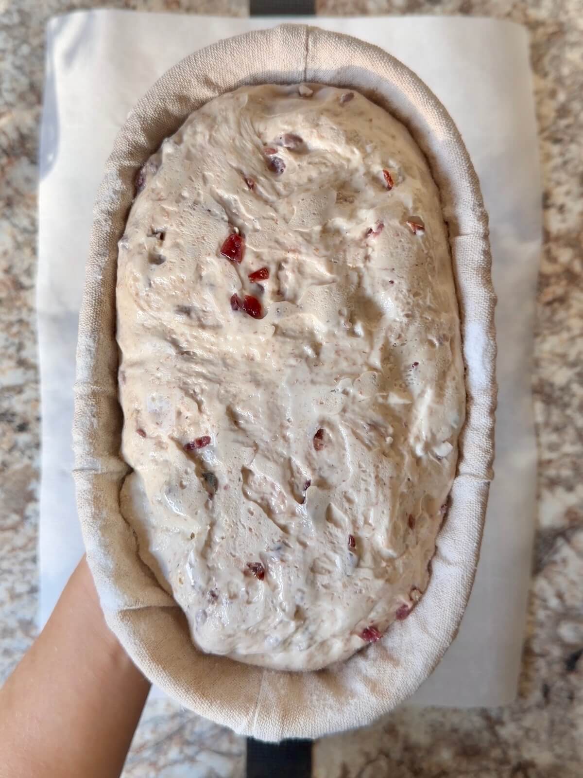 Thanksgiving stuffing sourdough bread in an oval proofing basket after cold proofing overnight.