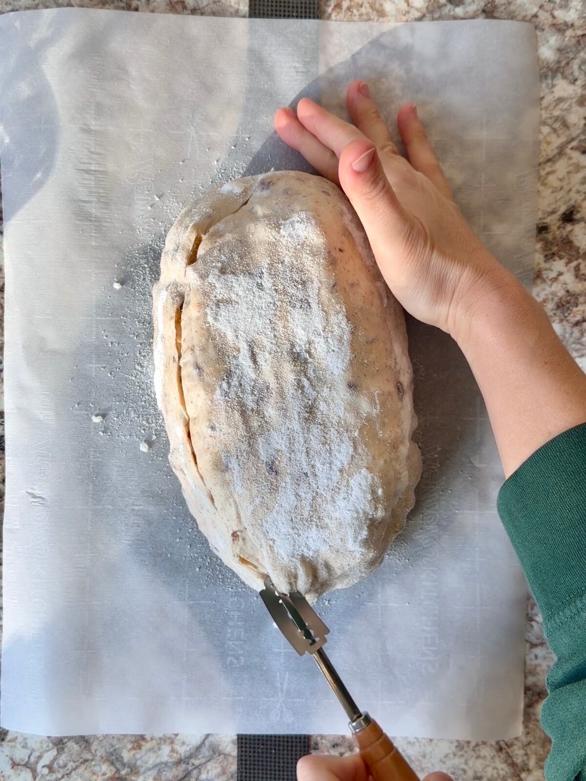 Thanksgiving stuffing sourdough bread being scored with a lame on a piece of parchment paper.