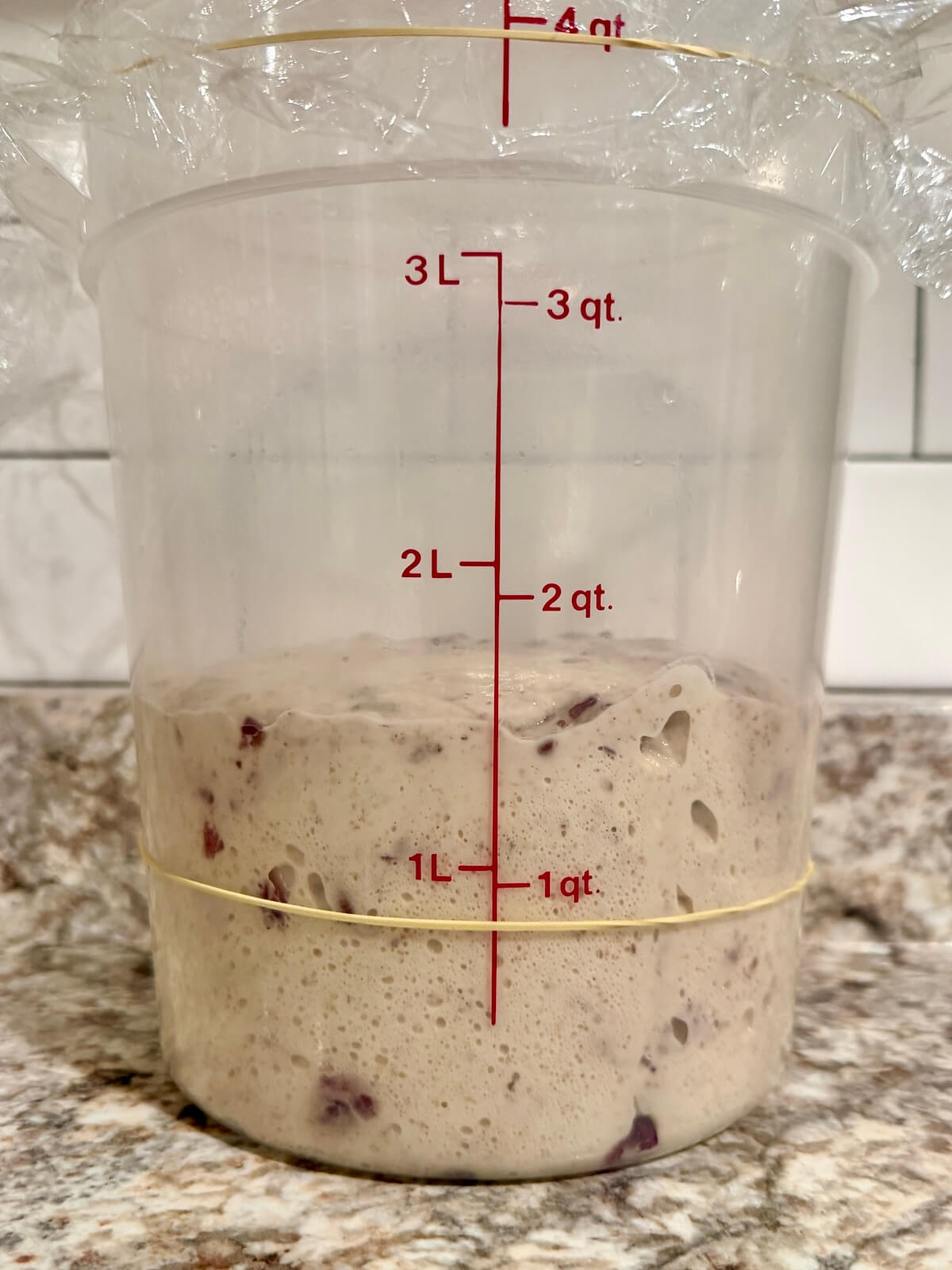 Stuffing sourdough bread dough in a straight-sided container after bulk fermentation.